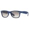 Rayban RB 2132